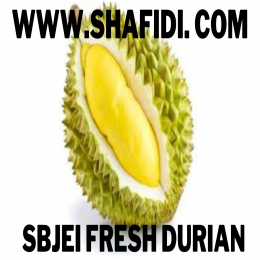 FRESH DURIAN